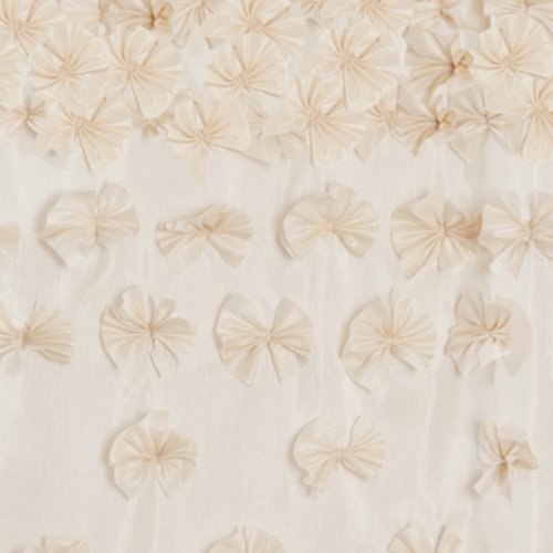 Lush Decor Lucia Shower Curtain, 72-Inch by 72-Inch, Ivory: Home & Kitchen